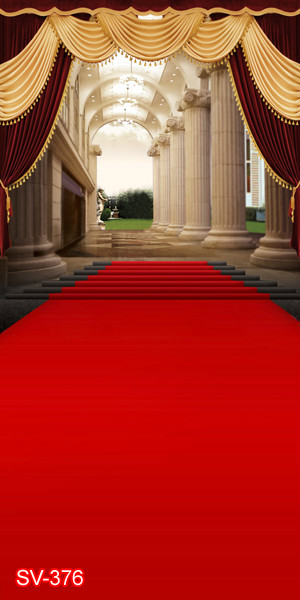 Indoor 10’x20′ Computer/Digital Vinyl Scenic Photo Backdrop Background SV376B88