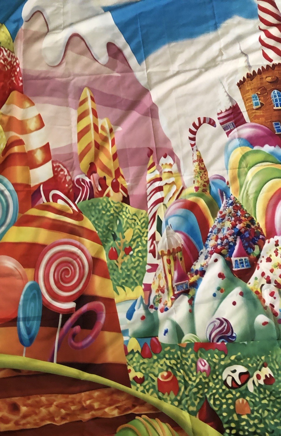 Candyland Backdrop Lollipop Sweetest Candy Theme Birthday Party 82 In x 58 In