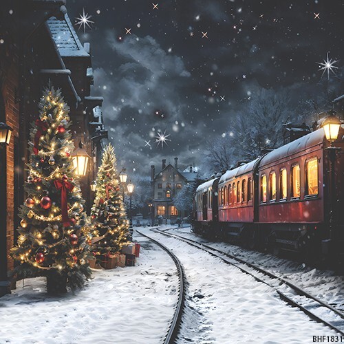 10’x10’CP Railway Christmas Scenic Microfiber Fabric background backdrop BHF1831