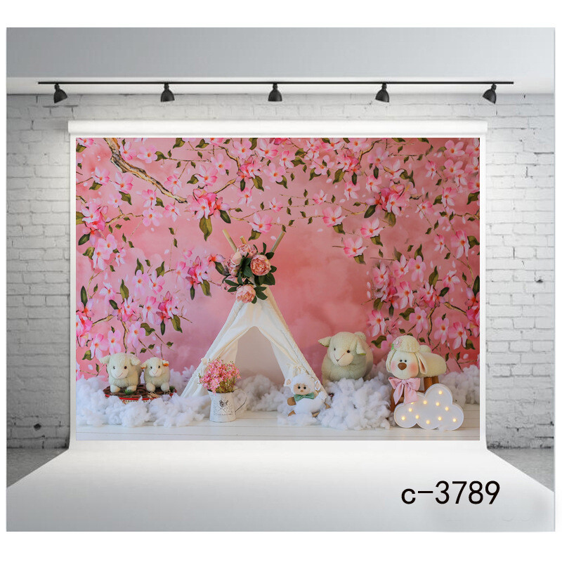 Large Balloon Photography Background Festival Party Stage Photographic Backdrop