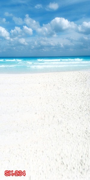 10’x20′ CP Sea Beach Wedding Scenic Microfiber Fabric background backdrop SX234