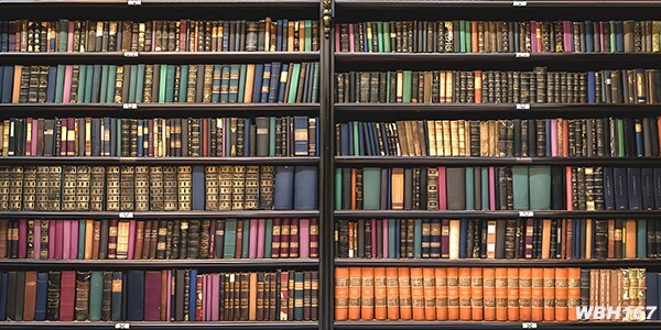 20’x10’CP Library Bookcase Scenic Microfiber Fabric background backdrop WBH167
