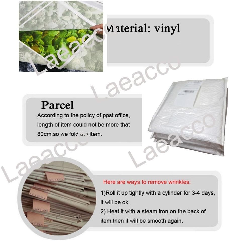 3x5ft Back to School Vinyl Backdrop – Lightweight, Durable & Water-Resistant