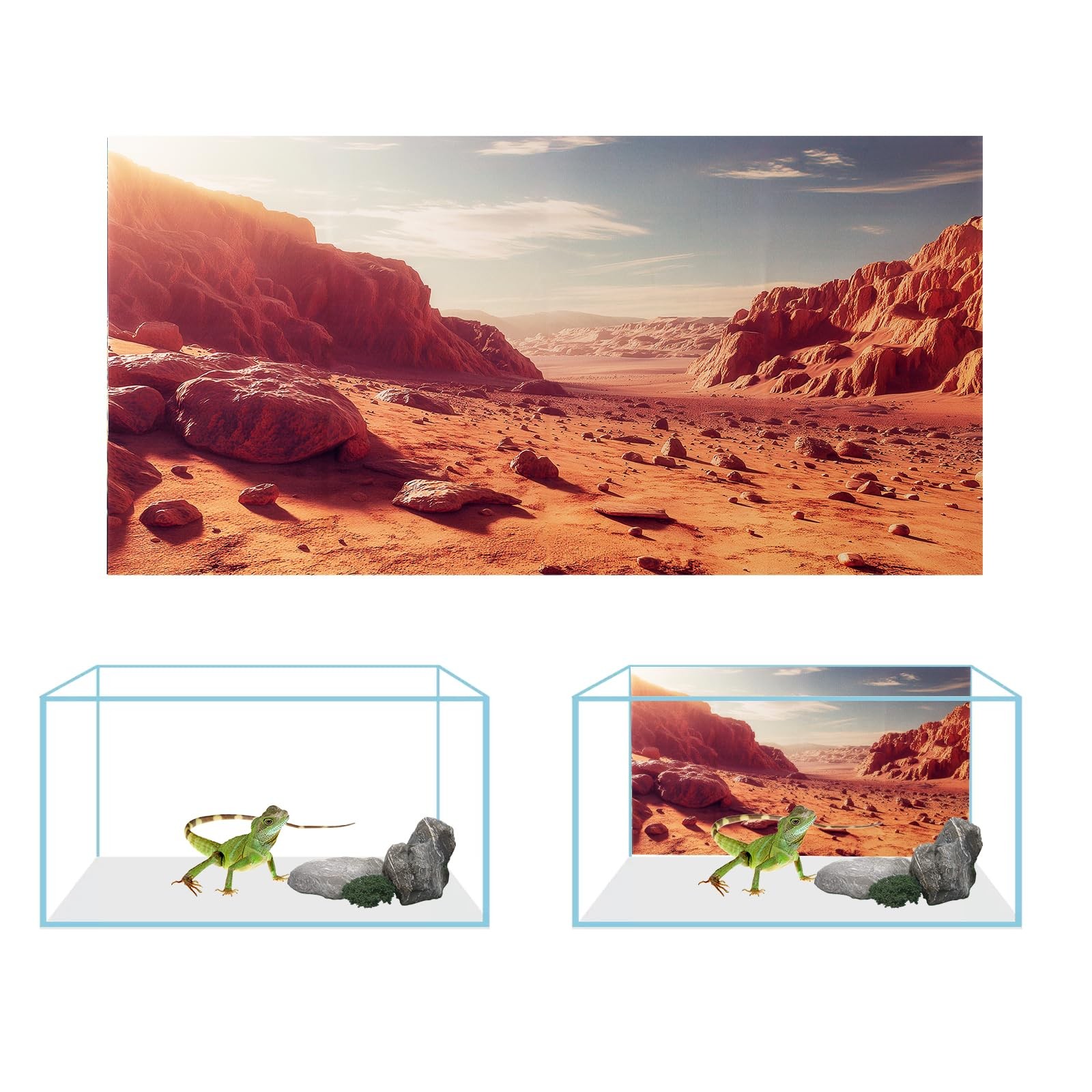 COMSUN 3 Pack Terrarium Background, 48×24 inches Inch, Multicolor