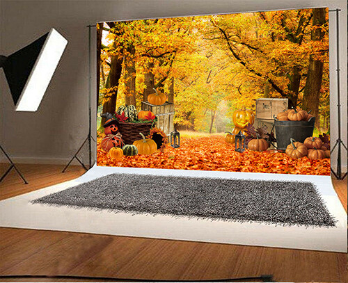 Autumn 5’x7′ Computer/ Digital Scenic Vinyl Photo Background Backdrop BHS011