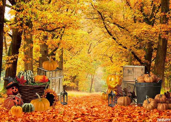 Autumn 5’x7′ Computer/ Digital Scenic Vinyl Photo Background Backdrop BHS011