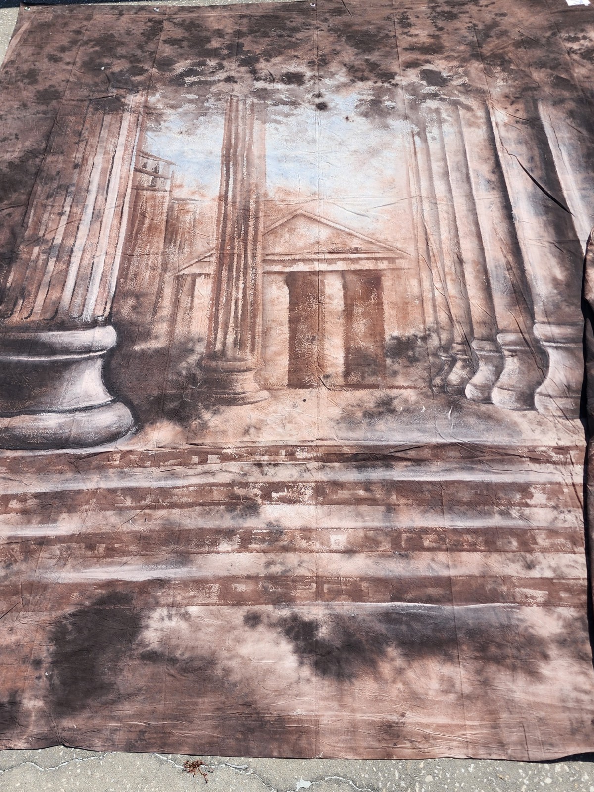 10x12ft Scenic Civichrome Photo Backdrop Elegant Setting II