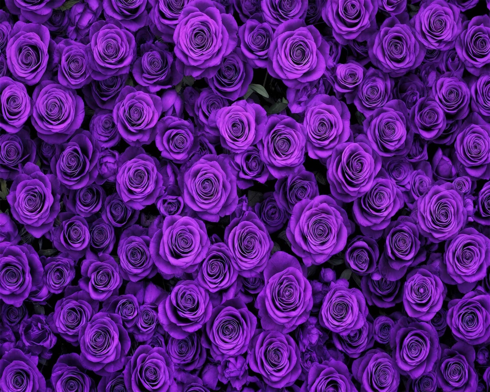 7×5 ft Purple Floral Backdrop – Flower Wall for Photography, Parties, Weddings &