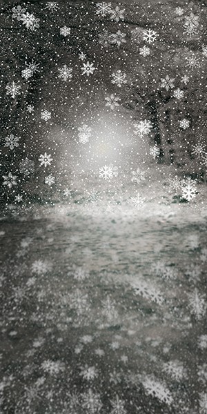 10’x20′ CP Snowflake Cloudy Scenic Microfiber Fabric background backdrop ST854