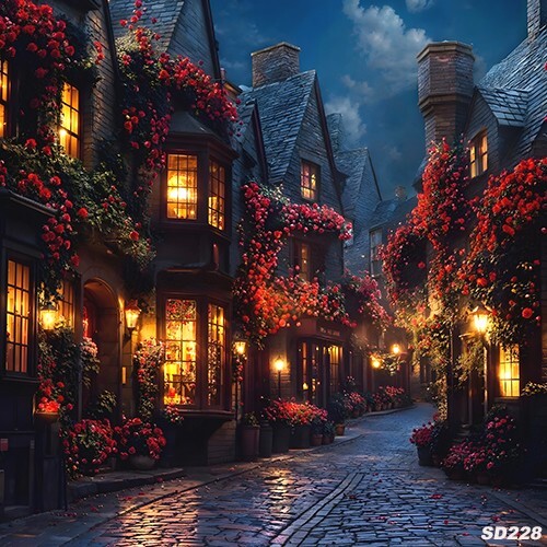 10’x10’Computer-painted Romantic Street Evening Scenic Background Backdrop SD228