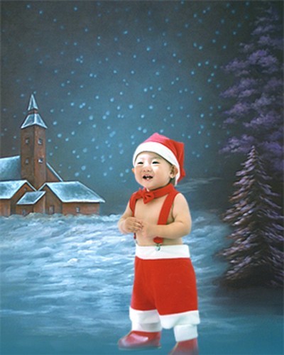 Pro 10’x20′ Muslin 100% Airbrush Painted Christmas Xmas Photo Backdrop 46-329