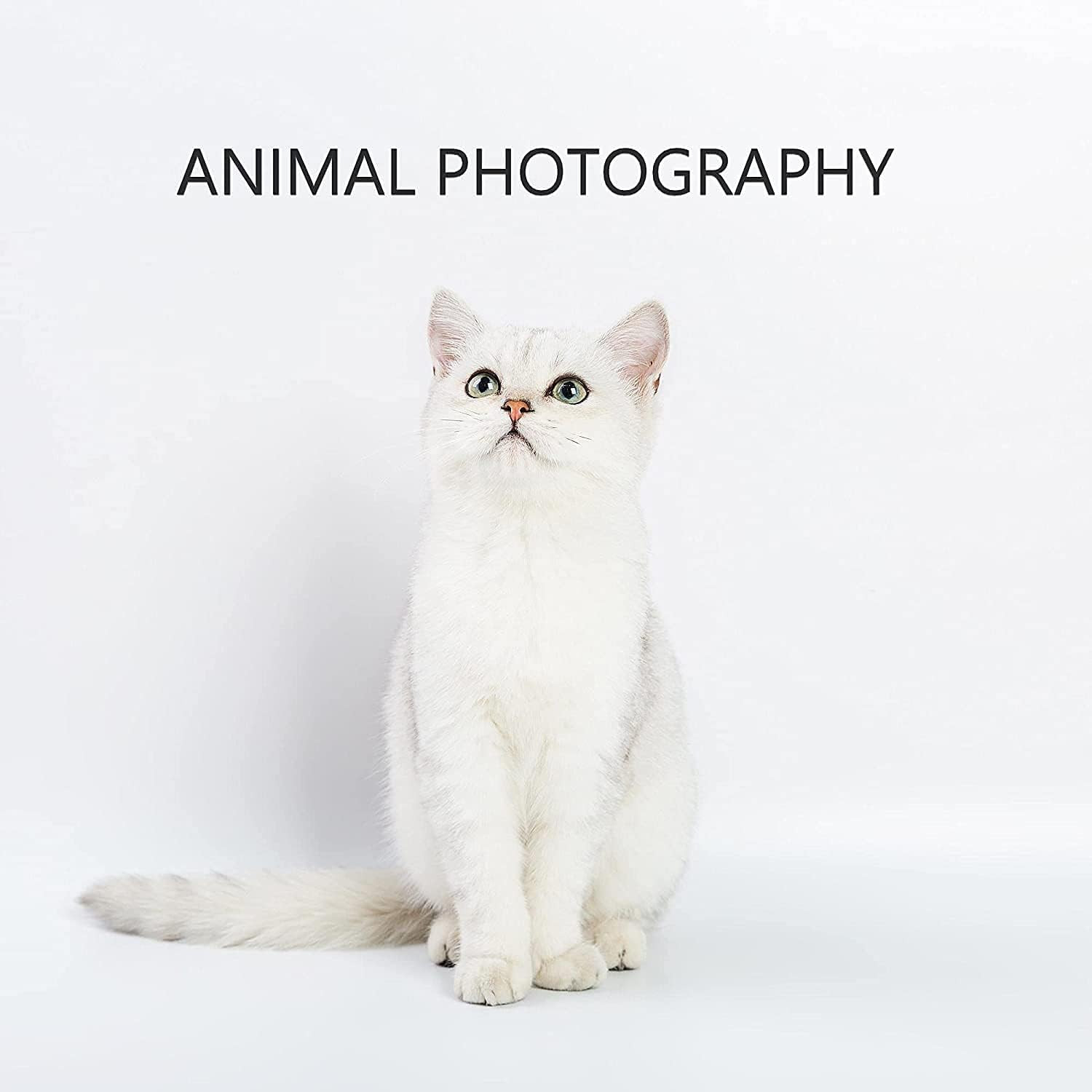 Meking 31X59 Inches (80X150Cm) White PVC Matte Backdrop Photography Background f