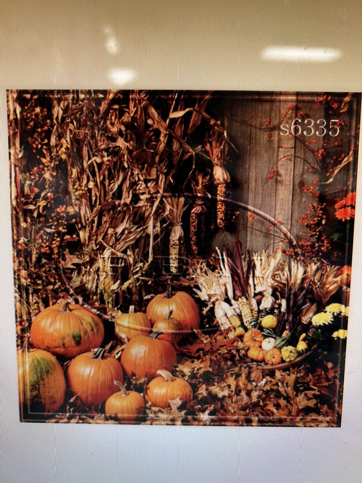 10*20 Ft Muslin 100% Airbrush Painted Halloween Autumn harvest Background 48-258