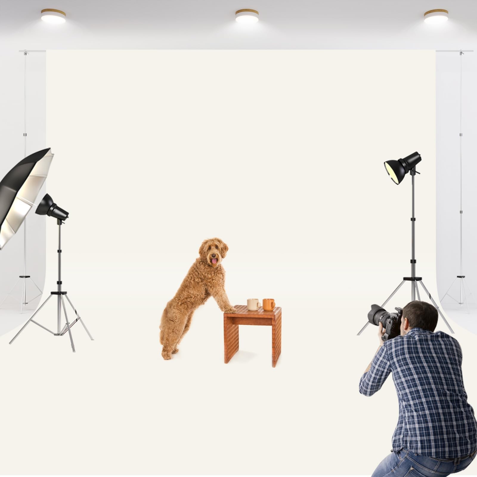 10×10 FT Ivory Backdrop Background for Photography Large Photo Backdrop Curta…