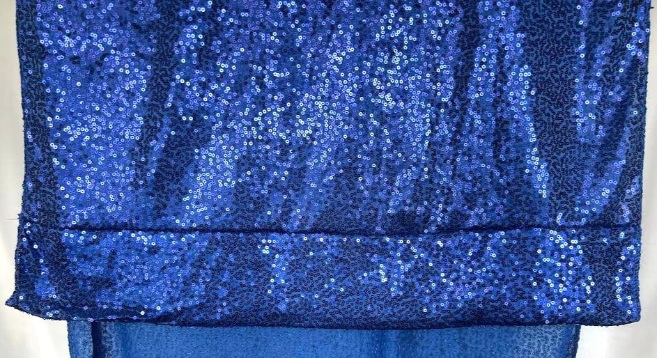 Blue Sequin Backdrop *NEW* 2 Blue Sparkly Panels 9’10” x 1’9″ Each