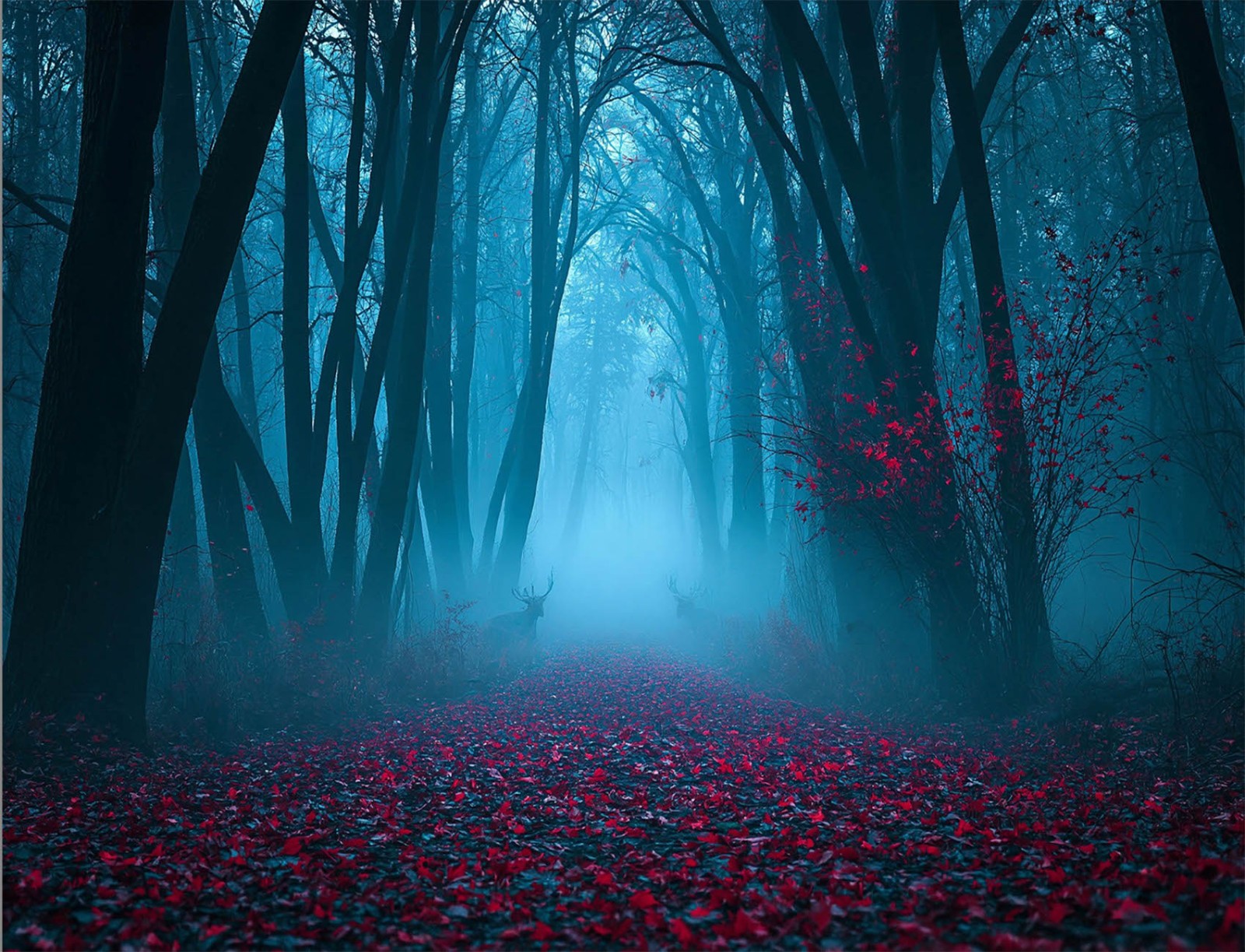 10x8ft Foggy Forest Dead Tree Spooky Haunted Forest Background for Photography
