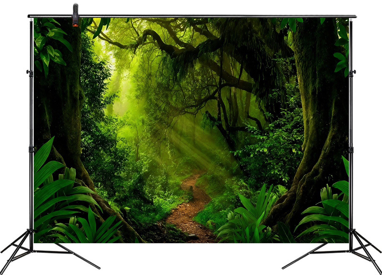 10x8ft Enchanted Forest Backdrop Natural Green Jungle Background for Photography