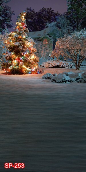 10’x20′ CP Christmas Season Scenic Microfiber Fabric background backdrop SP253