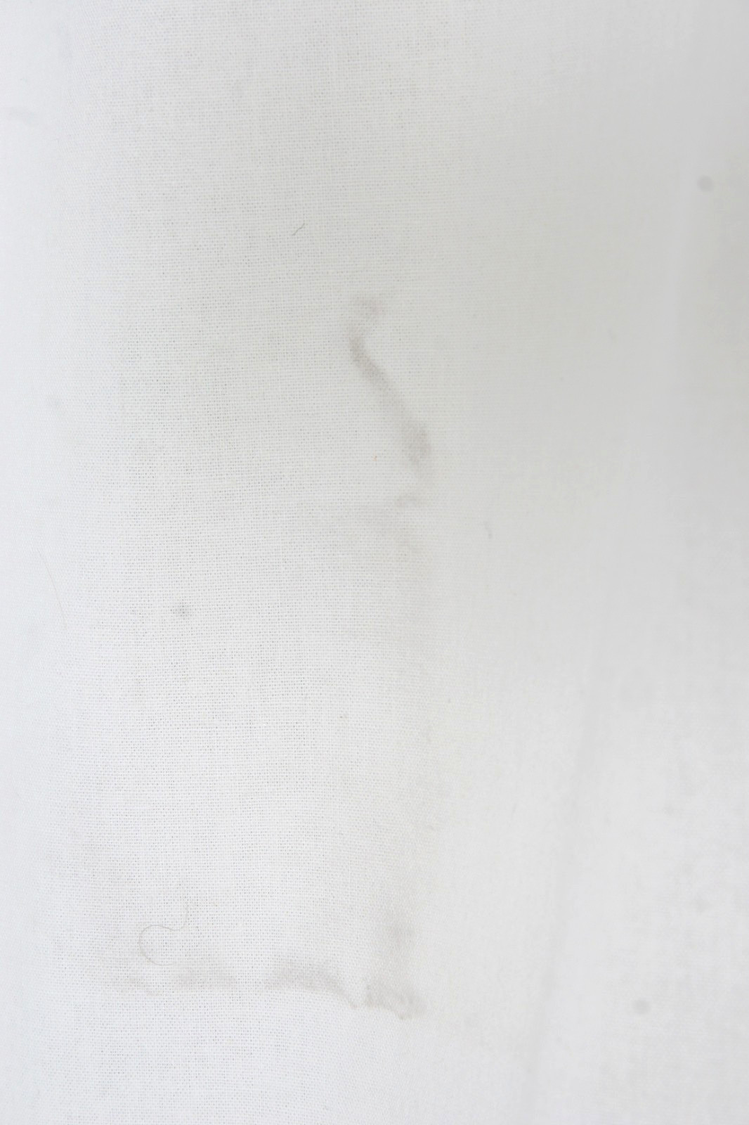 Backdrop Muslin/ Cotton Blend Fabric 10’x16′ White/ Cream for Still or Video
