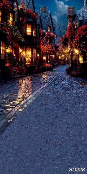 10’x20’CP Romantic Streetscape Scene Microfiber Fabric background backdrop SD228