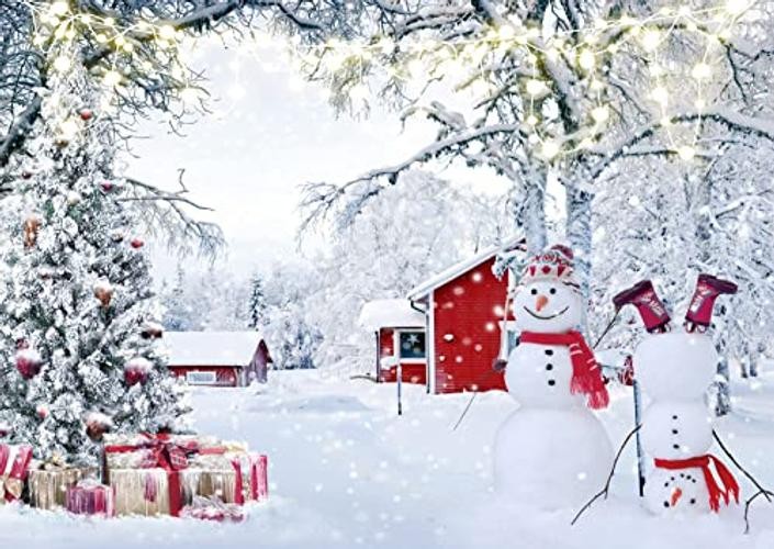Snow Forest Backdrop for Photography – 10x8ft – Christmas Winter
