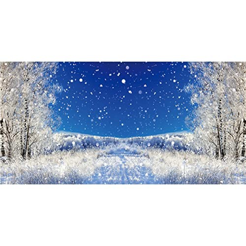 20x10ft Dreamy Forest Snowflake Background Winter Alps Snowy Landscape