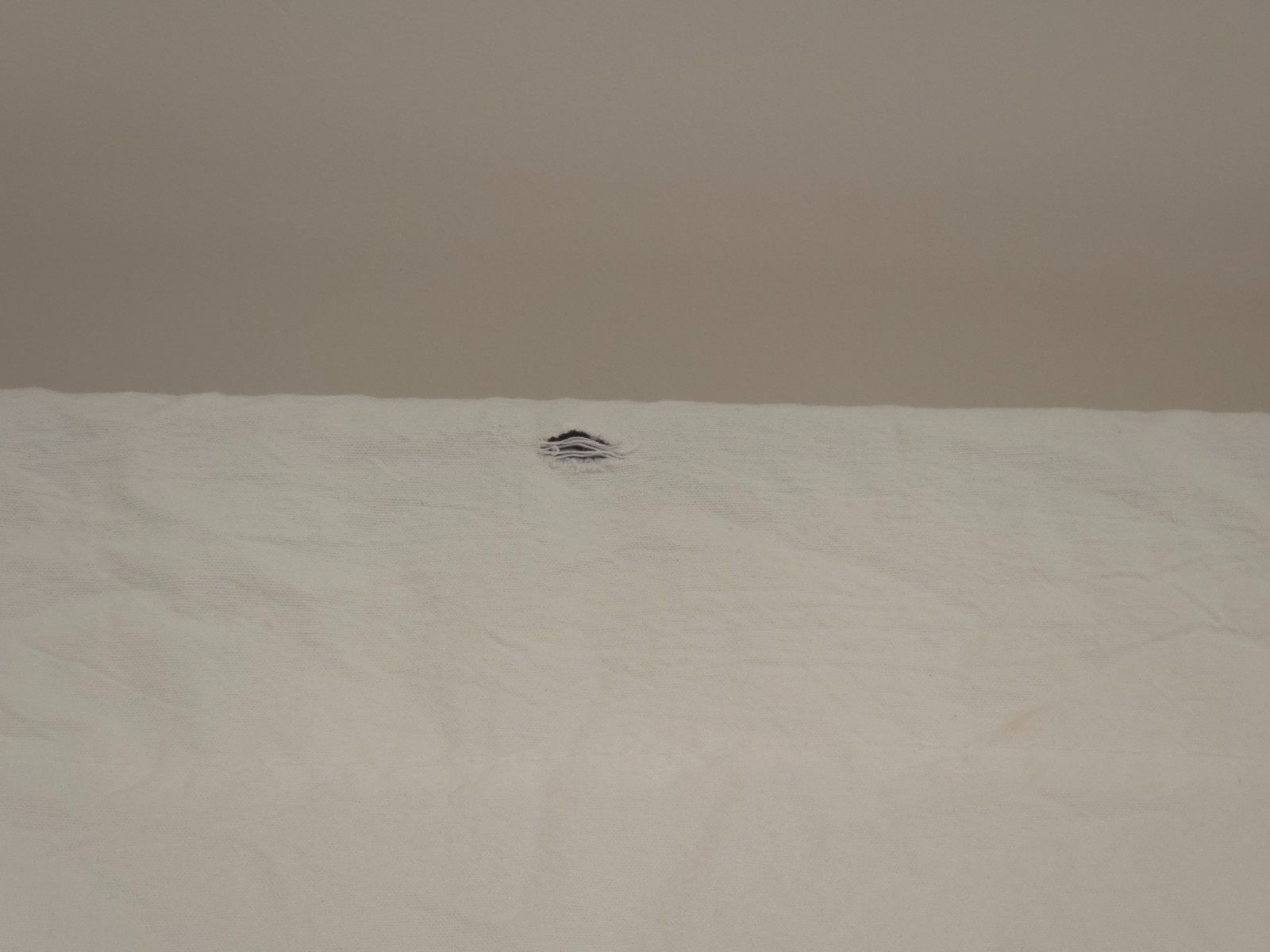 white photography backdrop, muslin, 12′ x 20′, used good condition