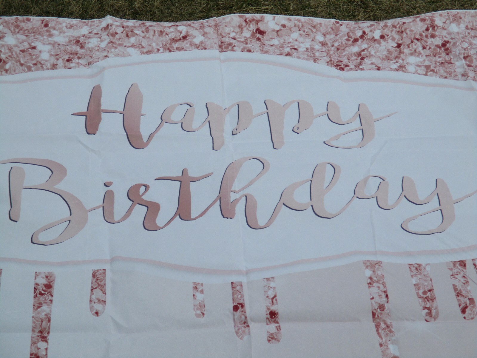 Birthday Photo Picture Backdrop Party Props Princess Girls Vinyl 8×8 ft