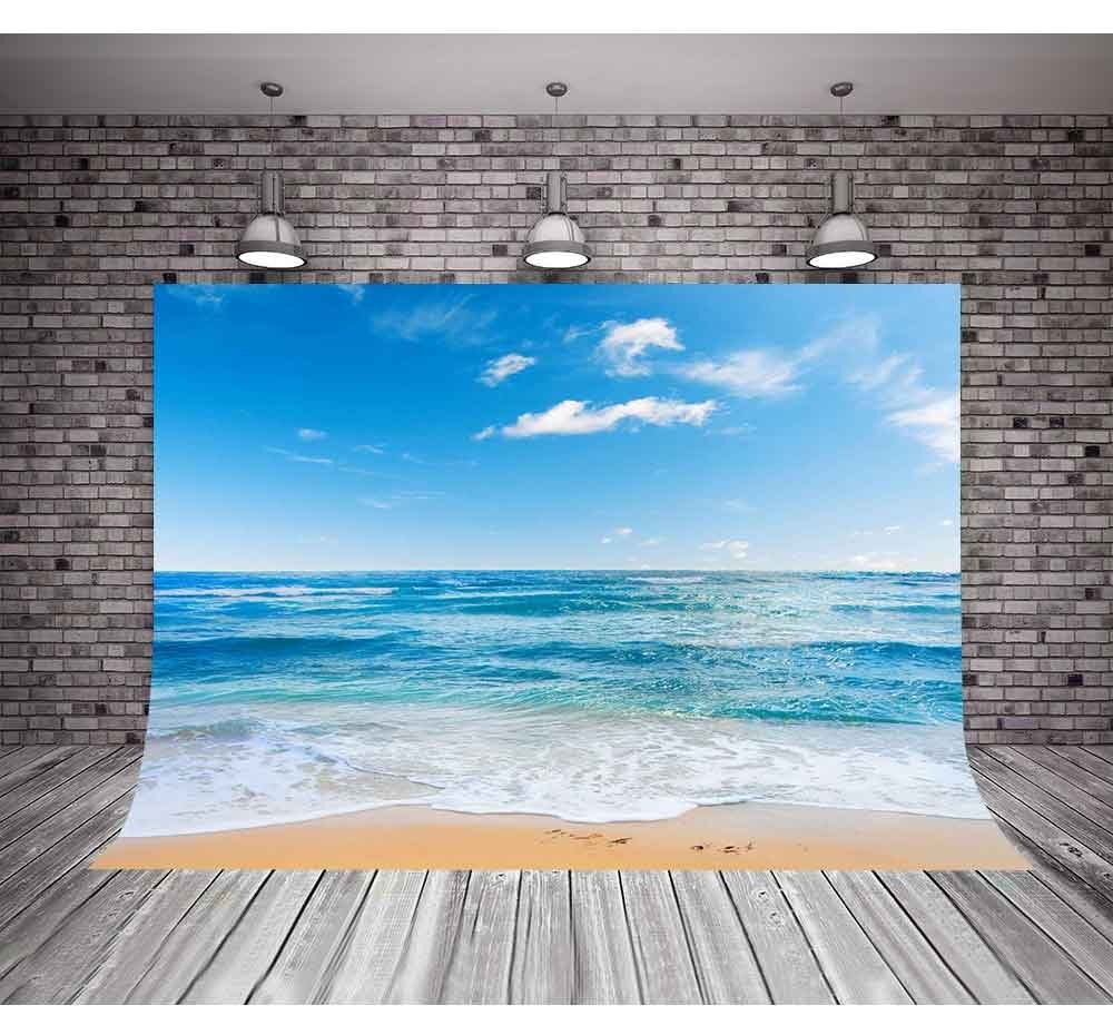 10X7ft Ocean Backdrop, Beach, Seamless Sea, Blue Sky, Summer Photo Background