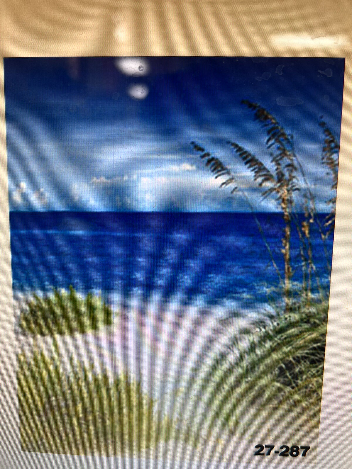 10*20 Ft Muslin 100% Airbrush Painted Photo Backdrop Beach Background 27-287