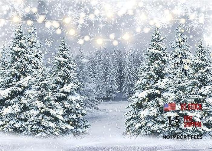 Winter Snow Scenery Backdrop Glitter Winter Forest Photography Backdrop 7X5ft