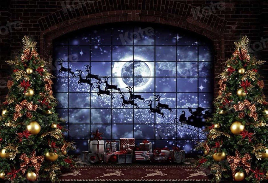 7×5 Kate Background Santa Sleigh Window