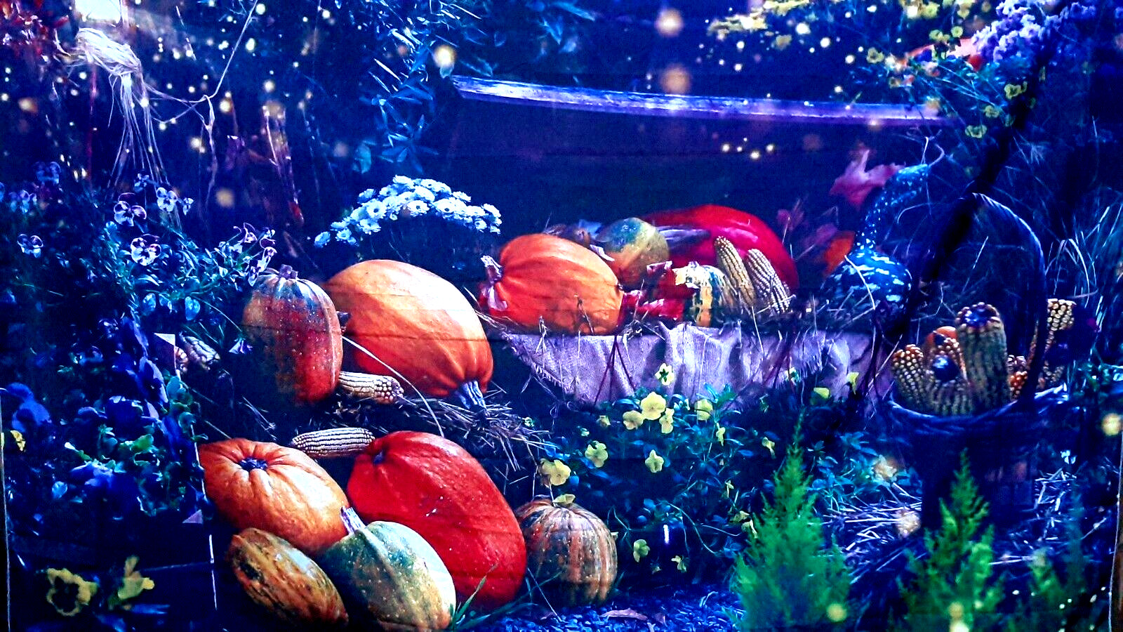 5′ X 7′ FALL HARVEST , PUMPKIN PATCH WALL TAPESTRY FABRIC BACKDROP