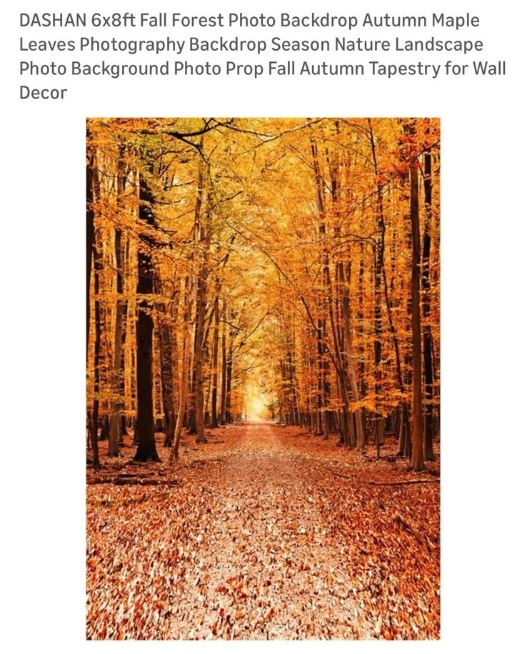 7x5Ft Fall Backdrop Autumn Background Photography Golden Maple Forest Path
