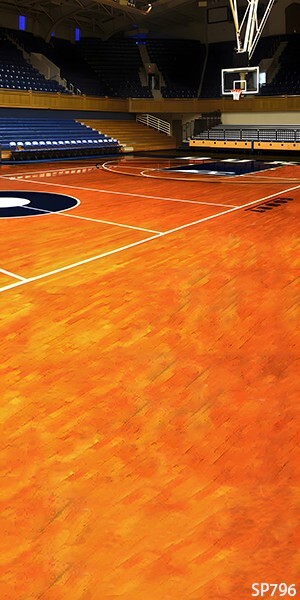 Sports 10’x20’Computer/Digital Vinyl Scenic Photo Backdrop Background SP-796B88
