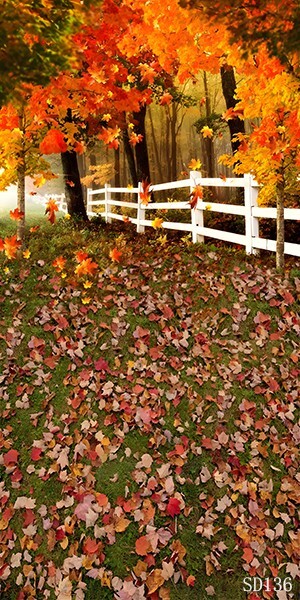 10’x20′ CP Leaves Fall Season Scenic Microfiber Fabric background backdrop SD136
