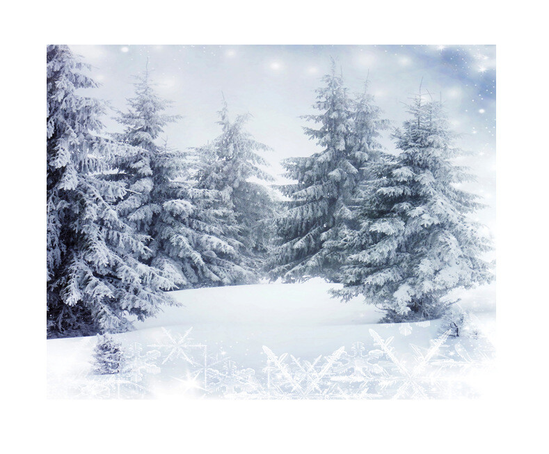 Winter Snow Forest Trees Photography Backdrop Photo Studio Background Kids Props