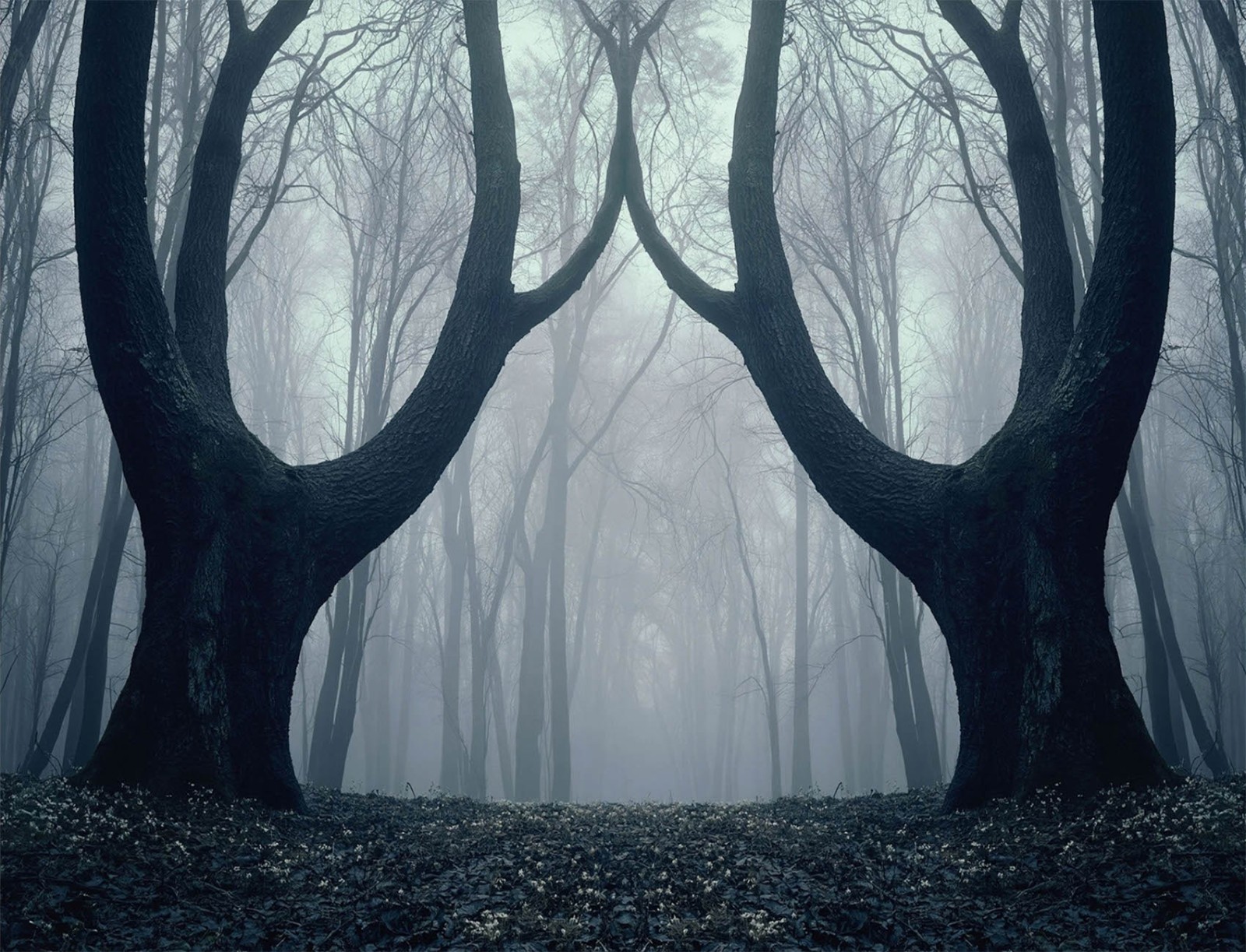 10x8ft Spooky Wood Autumn Dead Leaf Spooky Forest Background for Photography