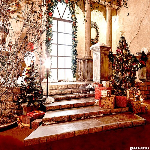10’x10′ CP Christmas Season Scenic Microfiber Fabric background backdrop BHF1751
