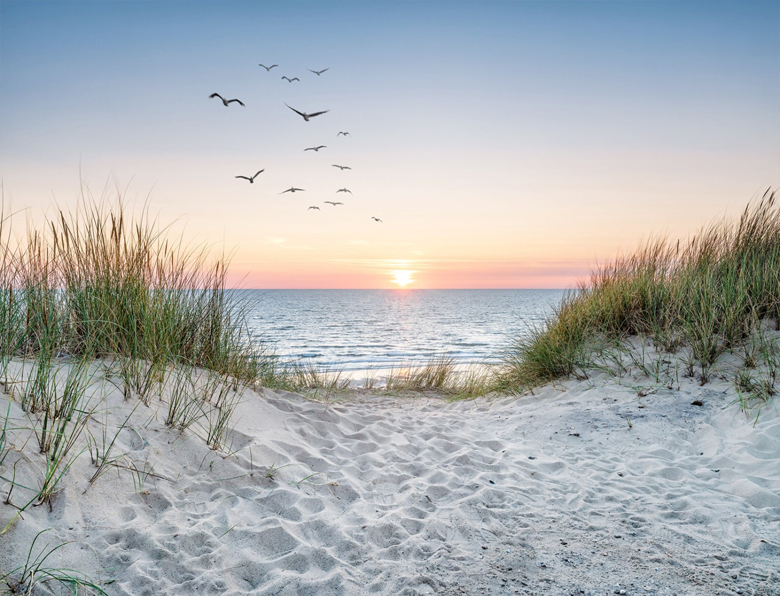 10x8ft Sunset Beach Backdrop Tropical Seaside Sunset Background for Photography