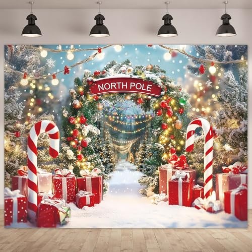 Winter Snow Scene with Candy Canes – Christmas Backdrop