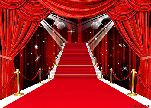 stage 5’x7′ Computer/ Digital Scenic Vinyl Photo Background Backdrop BHS108