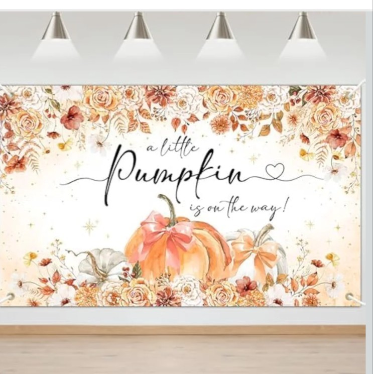 Pumpkin Baby Shower Photo Backdrop Banner Fall Theme Party Decor 70 x 43