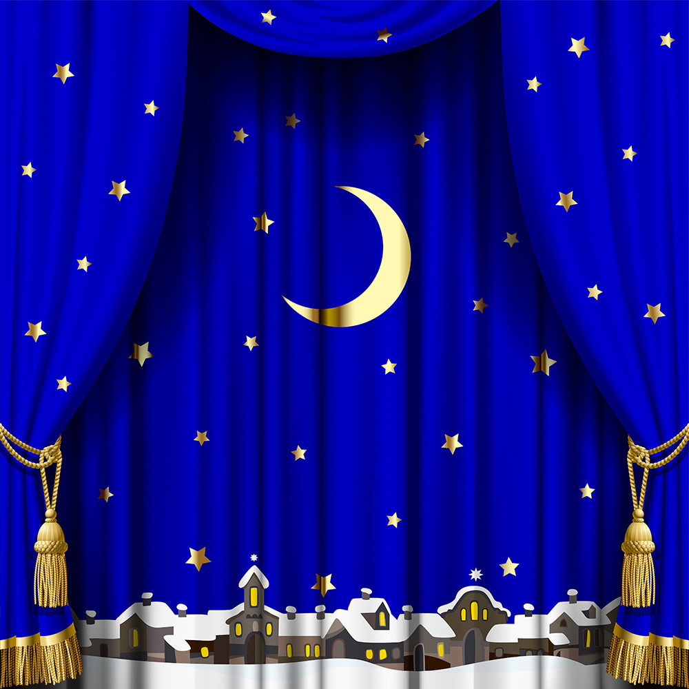 Blue Curtain Xmas Stage 10x10ft Vinyl Photography Studio Backdrop Background