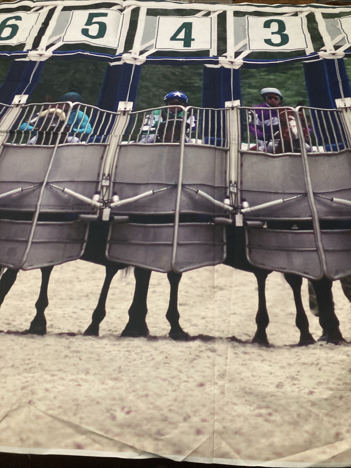 Horse Racing Photo Booth Backdrop Indoor … 7ftx5ft