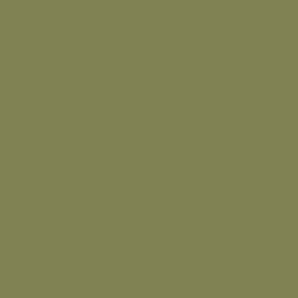 Savage Widetone Seamless Background Paper (#34 Olive Green, 53″ x 36′)