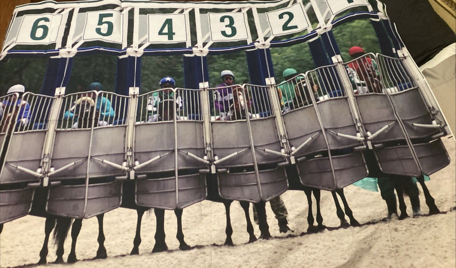 Horse Racing Photo Booth Backdrop Indoor … 7ftx5ft