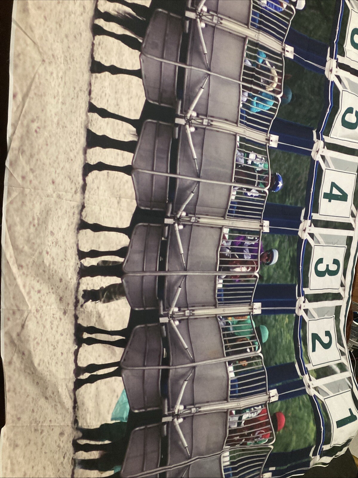 Horse Racing Photo Booth Backdrop Indoor … 7ftx5ft