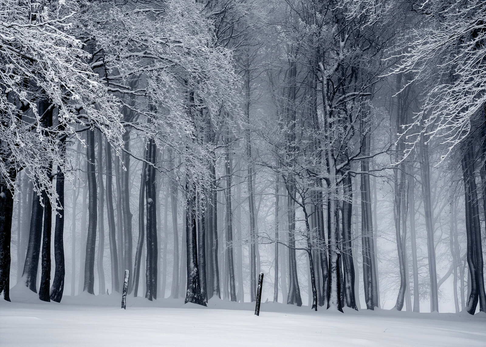 10x8ft Nature Scenic Winter Snow Misty Forest Photo Background Vinyl Backdrop LB