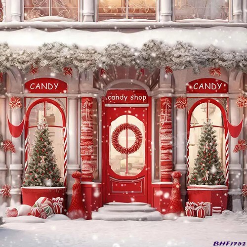 10’x10′ CP Christmas Season Scenic Microfiber Fabric background backdrop BHF1752